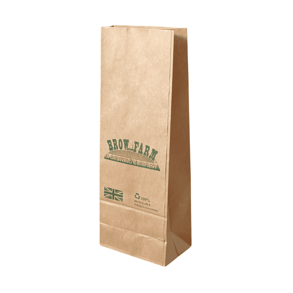 A single branded brown paper bag
