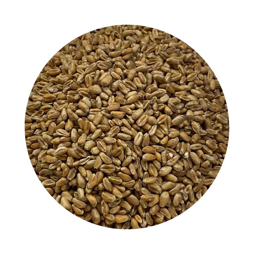 Framed Milling Wheat