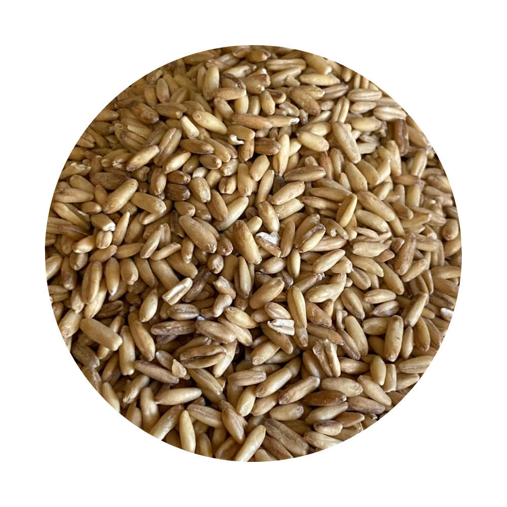 Framed Oat Groats