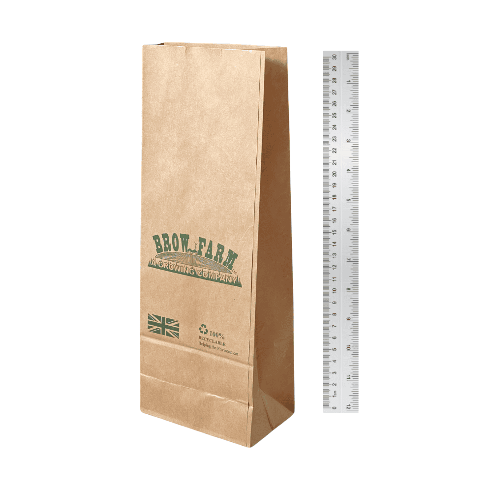 Paper bag sizing guide - a bag and a 20cm ruler