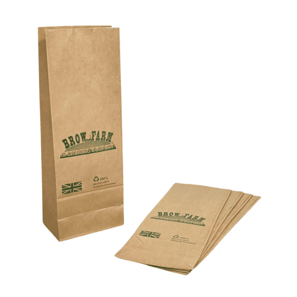 5 Branded Brown Paper Bags