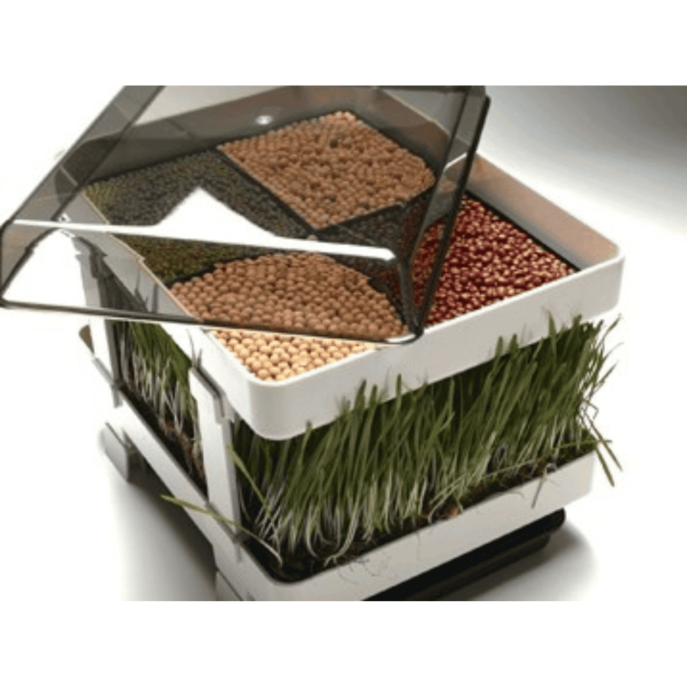 Lexen Healthy Sprouter, GP65