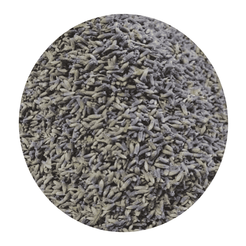 Organic Lavender Flower Buds From Provence