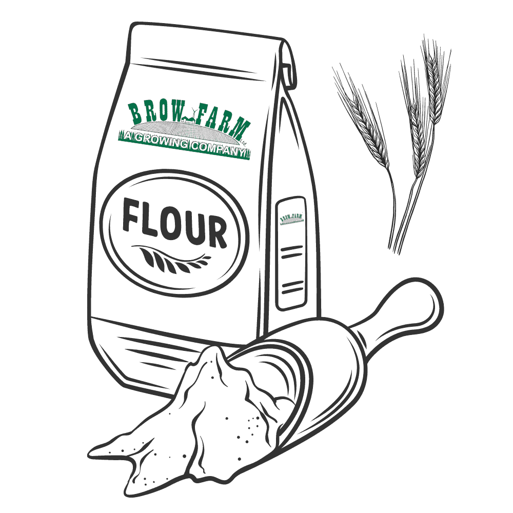 Whole Grain Barley Flour, Stone Ground