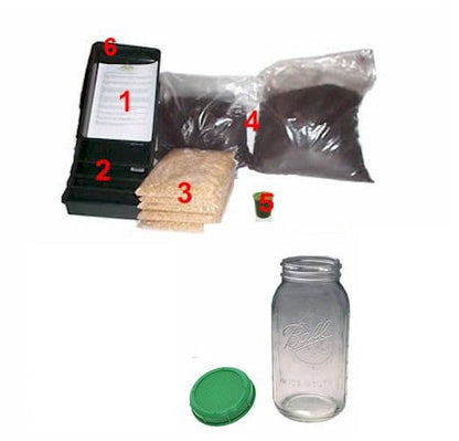 Wheatgrass Beginner's Growing Kit