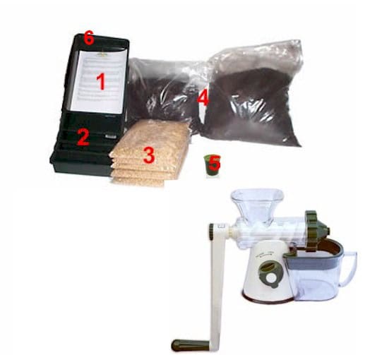 Wheatgrass Beginner's Growing Kit