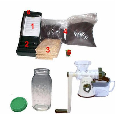 Wheatgrass Beginner's Growing Kit