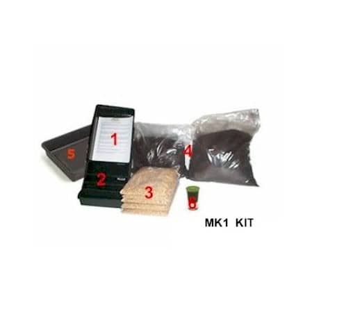 Wheatgrass beginner's growing kit