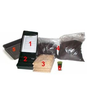 Barley grass growing kit